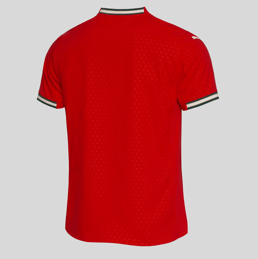 Camisola Portugal Principal Authentic 2025/26 PUMA - LANÇAMENTO! 🇵🇹