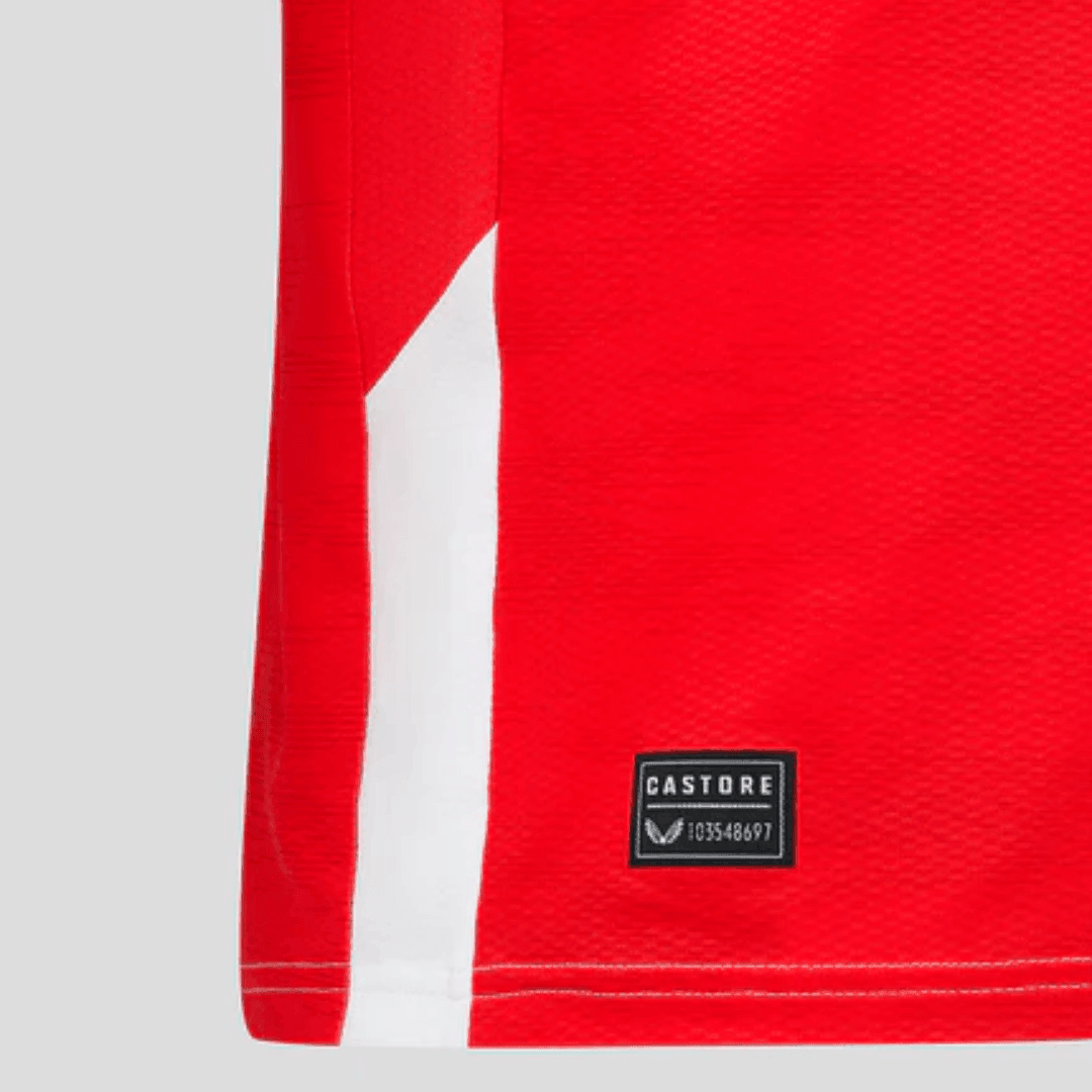 Feyenoord home 24/25